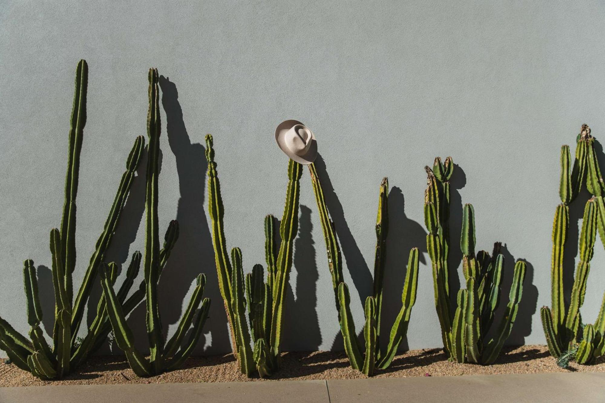 Andaz Scottsdale Resort & Bungalows Exterior foto